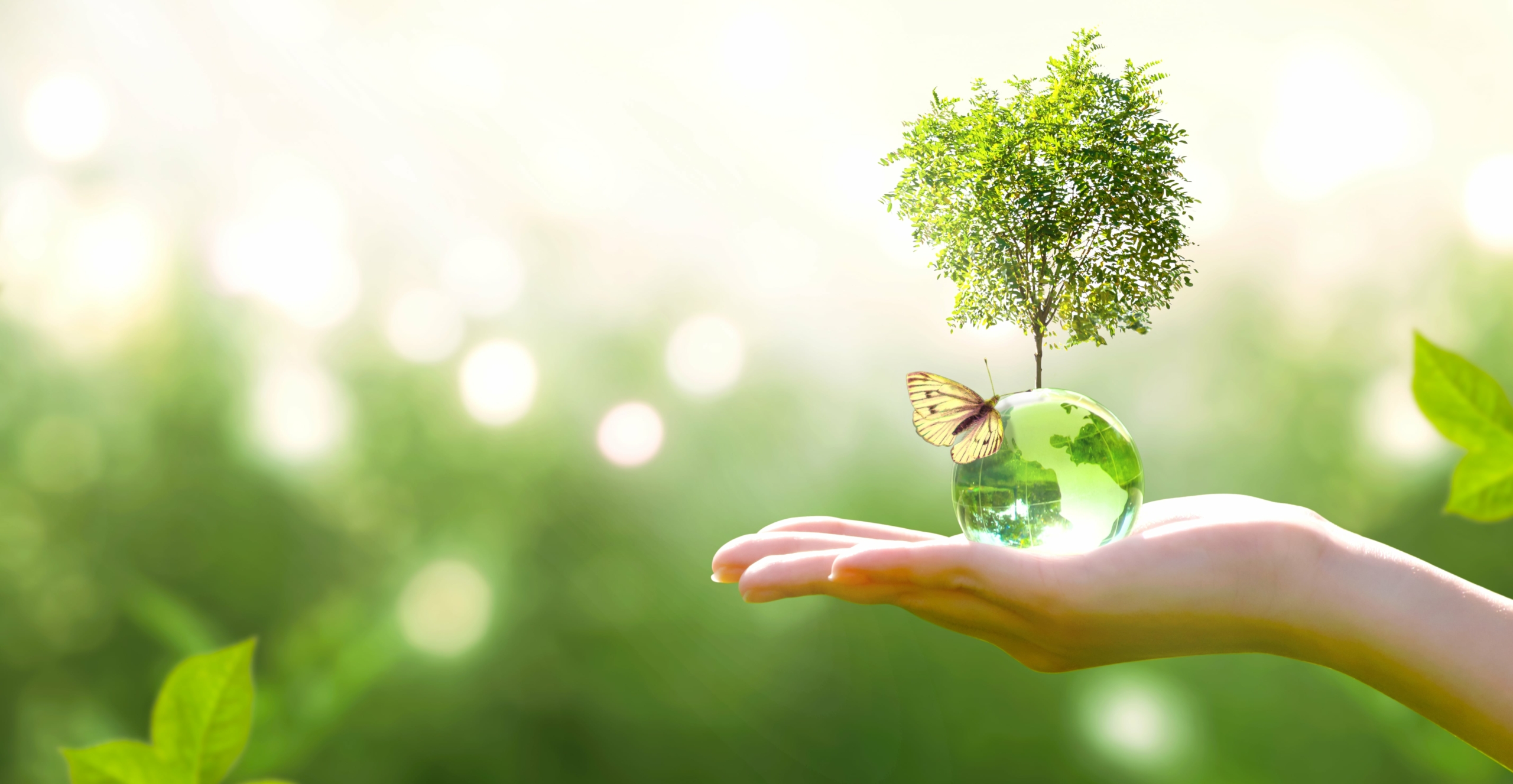 green agenda
