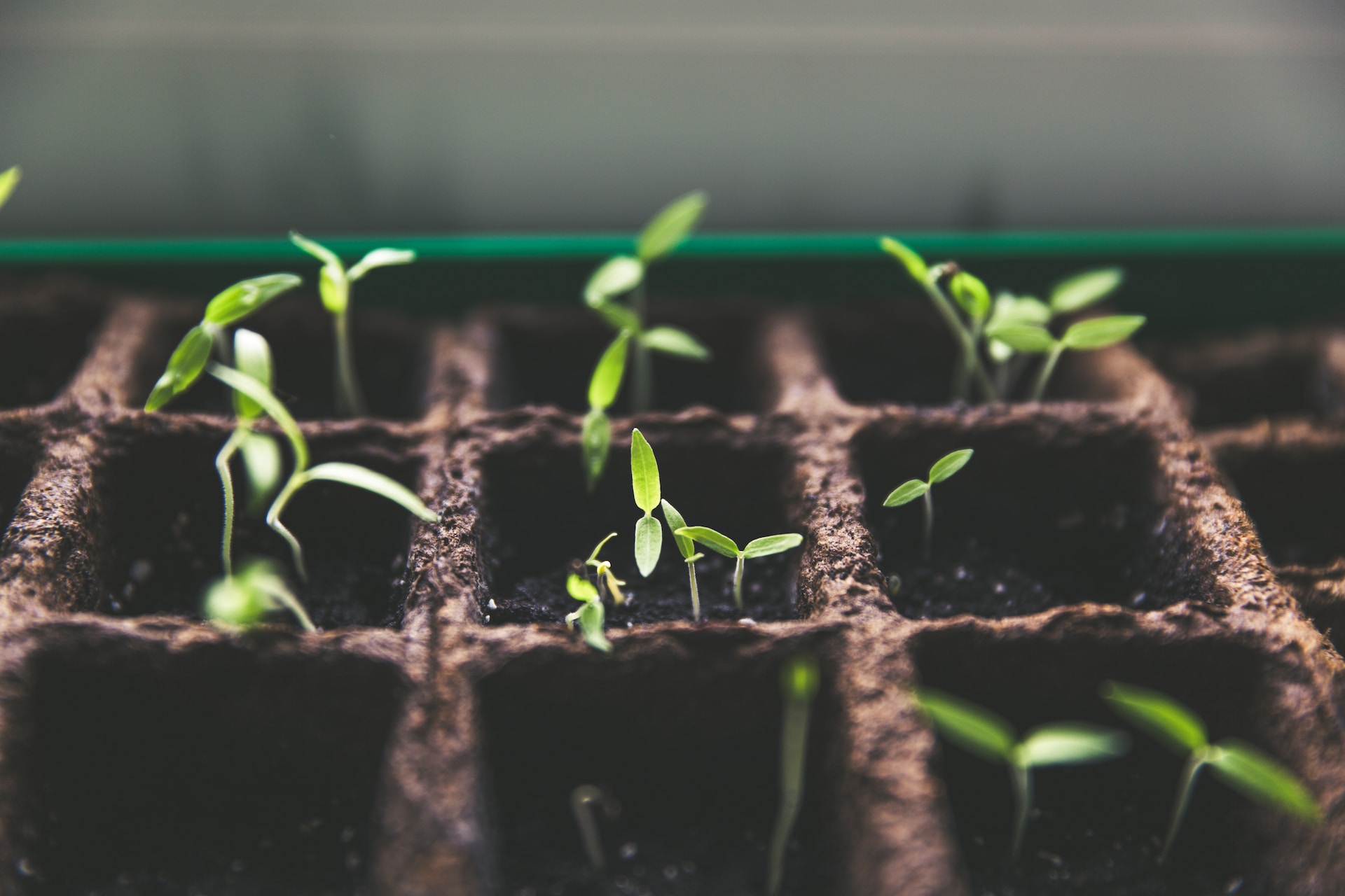 Why VAT Loans Are Vital for the Growth of Small Businesses