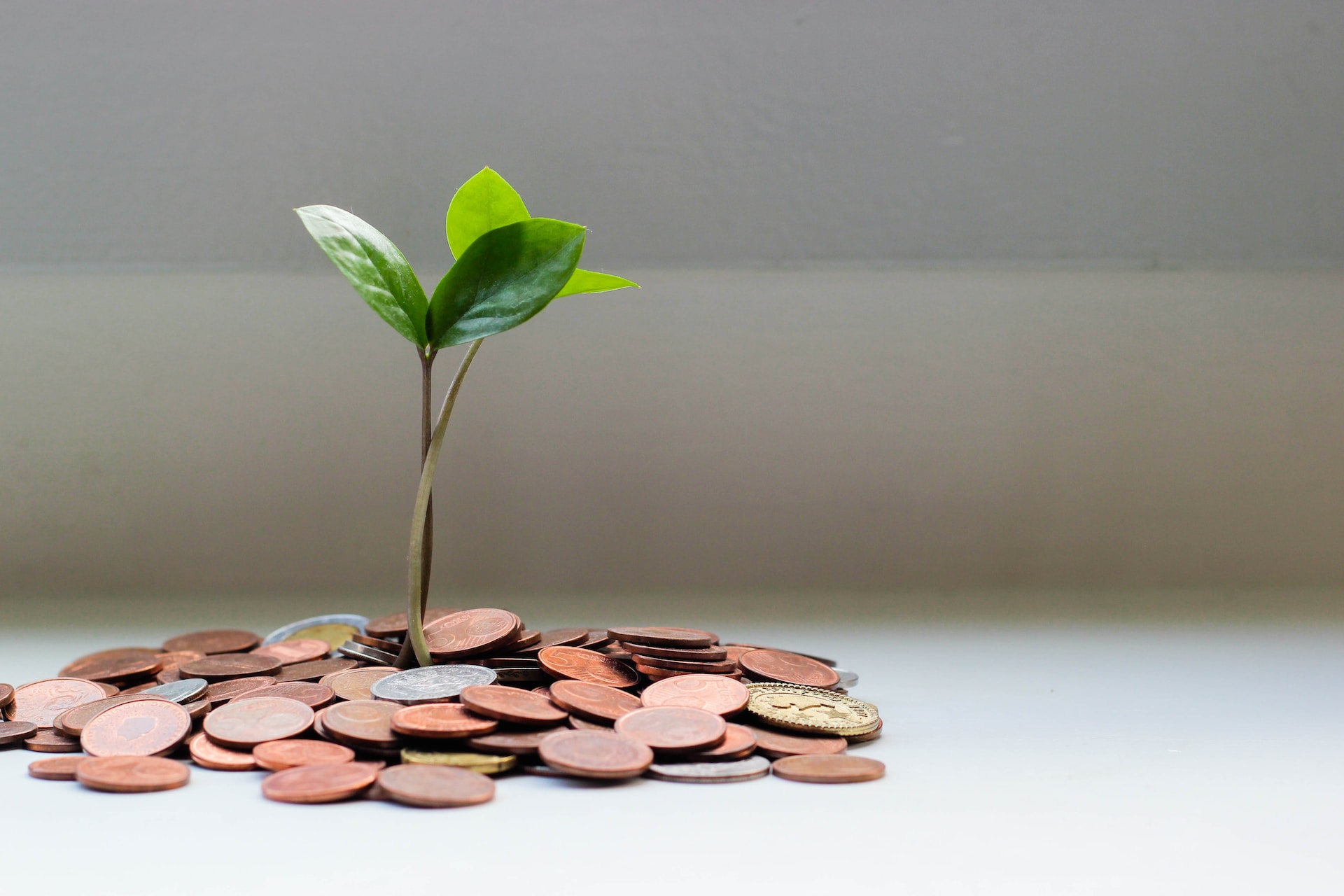 How to Use VAT Loans to Optimise Cash Flow