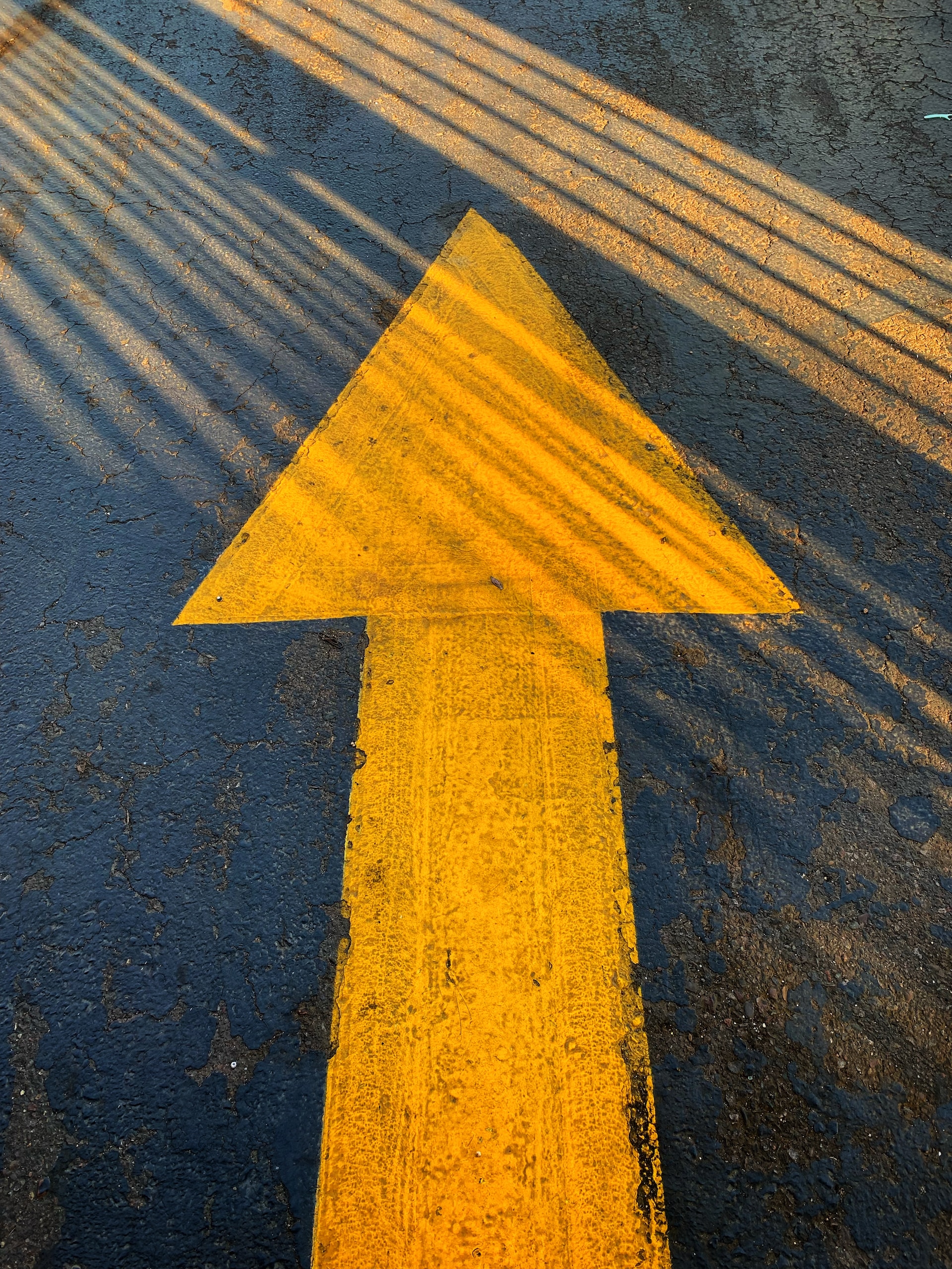 Maximising Your Business Potential with VAT Loans